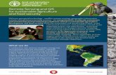 Remote Sensing and GIS for sustainabe agrl iculture and ... · PDF fileRemote Sensing and GIS applications for agriculture, natural resources and food security The availability of