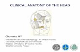 CLINICAL ANATOMY OF THE HEAD - Univerzita Karlovaanat.lf1.cuni.cz/souhrny/akakl01.pdf · CLINICAL ANATOMY OF THE HEAD Chovanec M1,2 1Department of Otorhinolaryngology, 3rd Medical
