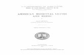 American Medicinal Leaves and Herbs - · PDF fileconcerning the collection, prices, and uses of the plants. American Medicinal Leaves and Herbs - Page 4 ... American Medicinal Leaves
