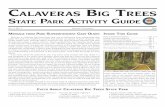 Calaveras B rees tate Park a uide · PDF file1 Message froM Park suPerintendent gary olson Welcome to Calaveras Big Trees State Park, one of California’s most outstanding state