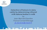Detection of ketosis in dairy cattle by determining ... · PDF fileDetection of ketosis in dairy cattle by determining infrared milk ketone bodies in milk by Jean-Bernard Davière