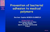 Prevention of bacterial - NAMSA · PDF filePrevention of bacterial adhesion to medical ... Capacity of the microorganism to adhere to polymer surfaces ... Surface treatments by silver
