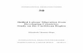 INTERNATIONAL MIGRATION PAPERS 50 - Home | · PDF fileINTERNATIONAL MIGRATION PAPERS 50 Skilled Labour Migration from ... that incorporate movements between countries in various ways,