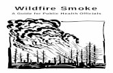 Wildfire Smoke - California Air Resources Board · PDF fileOther air pollutants, such as acrolein, benzene, and formaldehyde, are present in smoke, but in much lower concentrations