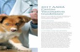 2017 AAHA Canine Vaccination Guidelines · PDF file26 TRENDS MAGAZINE 2017 AAHA Canine Vaccination Guidelines* Richard B. Ford, DVM, MS, DACVIM, DACVPM (Hon)†, Laurie J. Larson,