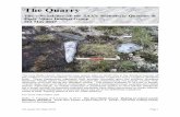The Quarry - NeoNovamembers.peak.org/~obsidian/pdf/biagi_etal_2017.pdf · The Quarry #12 (May 2017) Page 3 investigations, and the characterization of several archaeological artefacts,