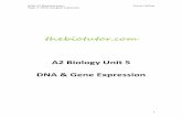 A2 Biology Unit 5 DNA & Gene Expression - · PDF fileAQA A2 Revision notes: Trevor Chilton Topic 3. DNA and gene expression 1 thebiotutor.com A2 Biology Unit 5 DNA & Gene Expression