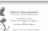 Asthma Continuing Education PowerPoint UUCEP Asthma ... · PDF file• Primary Muscles of Respiration – Diaphragm – External ... Pulmonary gas exchange from alveoli to blood ...