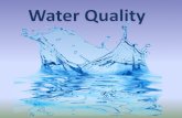 WATER QUALITY - Massachusetts Envirothon · PDF fileWater quality monitoring can help researchers predict and learn ... source in question include temperature, pH, dissolved ... Water
