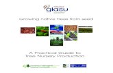 A Practical Guide to Tree Nursery Production - Native  · PDF fileGrowing native trees from seed A Practical Guide to Tree Nursery Production