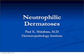 Neutrophilic Dermatoses - DermpathMD.com Dermatoses.pdf · Histopathology Neutrophilic dermatosis Leukocytoclasis No vasculitis May have secondary bullae and panniculitis Thursday,