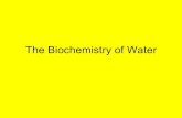 The Biochemistry of Water - Barbados Underground · PDF fileThe Biochemistry of Water • 2.3 Water, pH, and Buffers • Water is the solvent of life • All organisms are composed
