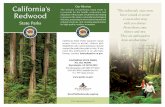 California’s Our Mission Redwood - California State Parks · PDF fileabout 120,000 acres of ancient coast redwood forests are left in California — just over five percent of the