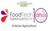 Cellular Agriculture -  · PDF fileThe New Sustainability Cellular Agriculture The Consumer Silicon Valley The Future What We Are Going To Talk About
