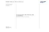 Creación de Nota de Crédito. - Productos  · PDF fileCreación de Nota de Crédito. SAP AG Neurottstr. 16 ... gráficos y tablas. ... (FI) y Controlling (CO) han