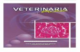 1 / 3journal.unair.ac.id/downloadfull/VetMed5913-5c48bd61c5fullabstract.pdf · 14 Influence Of Melatonin To Histopathology Pancreas In Rat ... pemeriksaan patologi ... FCoV ditemukan
