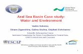 Aral Sea Basin Case study: Water and Environment 4a_Mr. Vadim Sokolov... · Aral Sea Basin Case study: Water and Environment . Vadim Sokolov, Dinara Ziganshina, Galina Stulina, ...