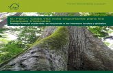 El FSC : Cada vez más importante para los bosques tropicales · PDF file... impidan la conversión de bosques naturales y eviten el uso de pesticidas peligrosos y ... armas, trampas