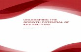Unleashing the Growth Potential of Key · PDF file3 Unleashing the growth potential of key sectors While the actions we propose will need to be refined with the help of the sector,