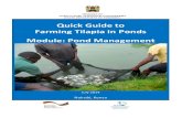 Quick Guide to Farming Tilapia in Ponds Module: Pond ... Guide_Pond... · MINISTRY OF AGRICULTURE, LIVESTOCK AND FISHERIES (STATE DEPARTMENT OF FISHERIES) Quick Guide to Farming Tilapia