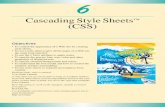 CascadingStyleSheets (CSS) - · PDF file6 CascadingStyleSheets™ (CSS) Objectives •Tocontrol the appearance of aWeb site by creating style sheets. •To usea style sheet togive