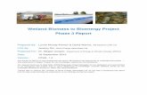Wetland Biomass to Bioenergy Project Phase 3 Report · PDF fileWetland Biomass to Bioenergy Project Phase 3 Report Prepared By: Lynne Mundy-Pitman & David Wynne, AB Systems (UK) Ltd