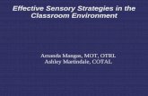 Effective Sensory Strategies in the Classroom Environment Sensory... · Effective Sensory Strategies in the Classroom Environment Amanda Mangas, MOT, OTRL Ashley Martindale, COTAL