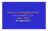 Pat Ogden Ph.D. May, 2003 Los Angeles, CA Neurons to ... · PDF fileLevels of Information Processing COGNITIVE PROCESSING Conceptual information processing, reasoning, meaning-making