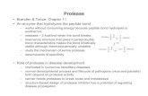 Protease - University at Buffalosjpark6/pednotes/Protease.pdf · Protease • Branden & Tooze ... • Botulinum and tetanus toxins are both zinc metalloproteases ... – Ser, His,