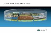 GIS for Smart Grid - · PDF filesmart meters to the location of electric vehicle ... location for smart grid components such as smart meters, sensors, ... GIS for Smart Grid Keywords: