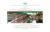 Assessment of the Nigerian poultry market chain to · PDF fileAssessment of the Nigerian poultry market chain to improve biosecurity - November 2008 iii Photos, Graphics and Tables