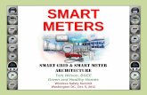 SMART METERS - Create Healthy  · PDF file10/11/2011     SLIDE 19 V1.0 SMART METERS 902-928 MHz RF LAN NAN MESH 850 or 1900 MHz
