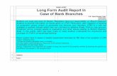 BANK AUDIT Long Form Audit Report In Case of Bank … 2015.pdf · BANK AUDIT Long Form Audit Report In Case of Bank Branches ... the different processes in the questionnaire. ...