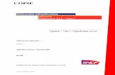Directive Règlement S1A - Titre I -  · PDF fileRéférentiel Infrastructure Règlement S1A – Titre I Page IV IN 1482 – Version 1 du 05/10/2005 Article 204 Carré violet