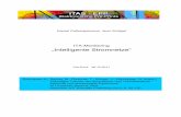 ITA-Monitoring „Intelligente Stromnetze“ - KIT - · PDF fileKurzstudie Institut für Technikfolgenabschätzung und Systemanalyse (ITAS) des Karlsruher Institut für Technologie