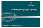 Multidisciplinary Team Working: From Theory to Practice Paper... · Multidisciplinary Team Working: From Theory to Practice Discussion Paper ”…fostering and promoting high standards