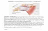 Shoulder Pain J Hatch MD FRCSC - American Academy of ...orthodoc.aaos.org/jeremyhatchmd/Shoulder Dx-Rx-Sx jph 2014-6.pdf · Shoulder Pain – Diagnosis & Treatment of Common Conditions