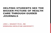 Helping Students See the Bigger Picture of Health Care ...schd.ws/hosted_files/nec2014/36/205_Brandt_1+2+handouts.pdf · journaling in community health advanced practice nursing clinical