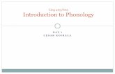 Ling 403/603 Introduction to Phonologyudel.edu/~koirala/phonology/day1.pdf · Phonology is not Phonetics. ... Cognitive scientists? Phonology of a language constitutes a highly organized