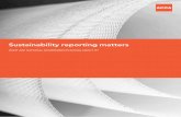 sustainability reporting matters - Home | ACCA · PDF fileability and ambition around the world who seek a ... encourage the adoption of global standards. ... SuStainability reporting