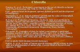Chlorella - Klinghardt · PDF fileChlorella membrane (Bohumil Voelsky: Biosorption of Heavy Metals. CRC Press, 1990) ... J Wang et al, J Formosan Med Assoc 80 (1981) 929-933) Cilantro