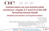Antimicrobial use and Antimicrobial resistance: chapter 6 ...web.oie.int/RR-Europe/eng/events/docs/day_2_GM_chapters_6 7_6 8_… · resistance: chapter 6.7 and 6.8 of the OIE ...