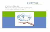 Energy Storage Opportunities and Challenges - Ecofys · PDF fileii Energy Storage Opportunities and Challenges A West Coast Perspective White Paper Performed by Ecofys under contract