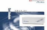 Mini-Lab by Spectra - unisalento.itdaqatlas/minilab/spectraminilab.pdf · Mini-Lab inlet assembly ... wide range of different industries and ... Temperature programmed reaction of
