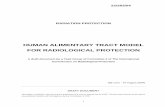 22/263/04 RADIATION PROTECTION -  · PDF file22/263/04 i RADIATION PROTECTION HUMAN ALIMENTARY TRACT MODEL FOR RADIOLOGICAL PROTECTION A draft document by a