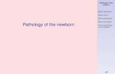 Pathology of the newborn - Masarykova univerzita · PDF fileI Sepsis neonatorum I Congenital malformations, genetic diseases I Congenital tumors I early newborns: up to 7th day. Pathology
