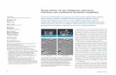 Desarrollos en las imágenes sísmicas marinas con …/media/Files/resources/oilfield_review/spanish13/spr... · Volumen 25, no.1 45 las embarcaciones entre el final de una anchura