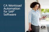 CA Workload Automation for SAP® Software · PDF fileCA Workload Automation for SAP 2 ... or processing chain involved. ... Automation AE jobs to be a part of SAP BW process chains