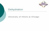 Dehydration - Money Follows the Personmfpweb.nursing.uic.edu/education/symptoms/Dehydration_ppt.pdf · dehydration and proper daily fluid intake. ... R. Nursing care to prevent dehydration