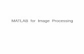 MATLAB for Image Processingme.umn.edu/.../2017/ME5286-MATLAB-2017-Tutorial.pdf · What is MATLAB? • MATLAB = Matrix Laboratory • “MATLAB is a high-level language and interactive